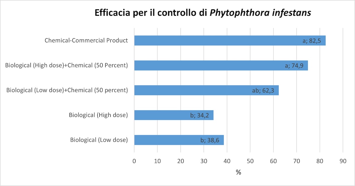 Efficacia di diverse strategie per il controllo della peronospora su pomodoro otto giorni dopo la quinta applicazione. Piacenza 2022